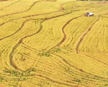 里尔豪取三分战胜亚眠，稳步前进