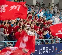 队员技术精湛，精彩进球惊艳全场的简单介绍